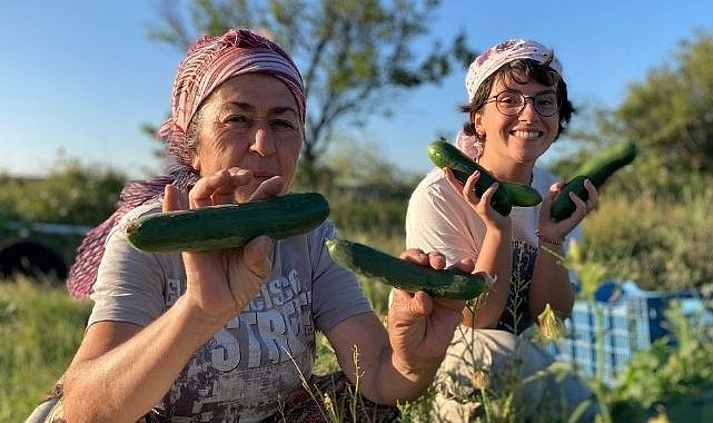 Buğday Derneği; Soframıza gelen zehirlerden 6’sı daha yasaklandı