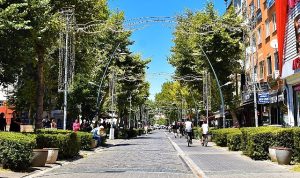 Lüleburgaz’ın deprem raporu: 4 kattan yükseğe izin yok!