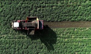 Erzurum ve Erzincan’da tarımsal dönüşüm devam ediyor