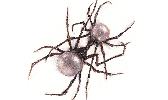 Muud’da Yerli ve Yabancı Sanatçılarda İlk 10 Belirlendi