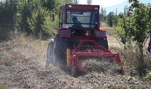 Selçuklu Belediyesi tarımsal üretime katkı sağlamaya devam ediyor