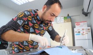 Hayvan Dostu Belediye