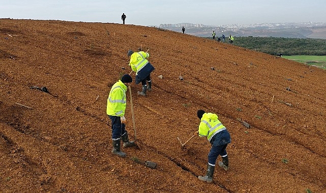 Dilovası’nda geleceğe 8 bin ağaçlık nefes