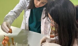 Bayrampaşa Belediyesi Bilim Merkezi’nden 8 patent başvurusu birden