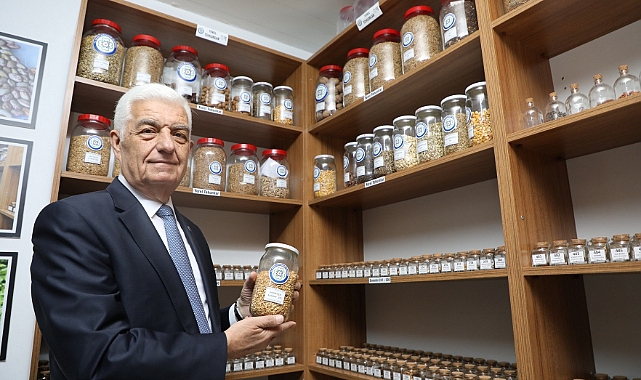 Büyükşehir 1 Milyon Yerel Tohumun Dağıtımına Başlıyor