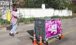Çankaya Belediyesonden Gece Gündüz İlaçlama