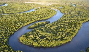 L’Oréal Türkiye, sürdürülebilir geleceği inşa etmeye devam ediyor
