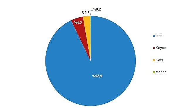 2023 Çiğ Süt Üretim İstatistikleri