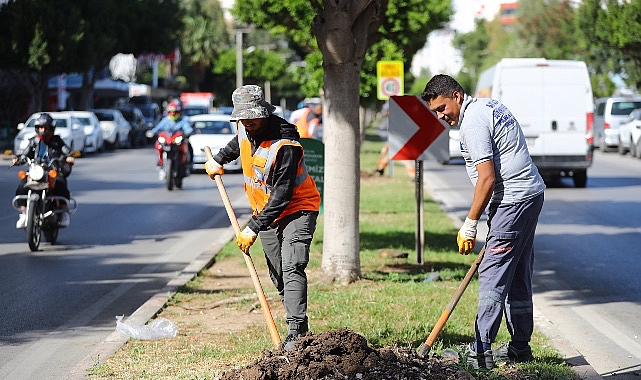 Antalya Büyükşehir Belediyesi Yazlık Çiçek Üretim Tesisi