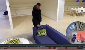 AXIS Optimizer 5.2: Yenilikler ve Güncellemeler