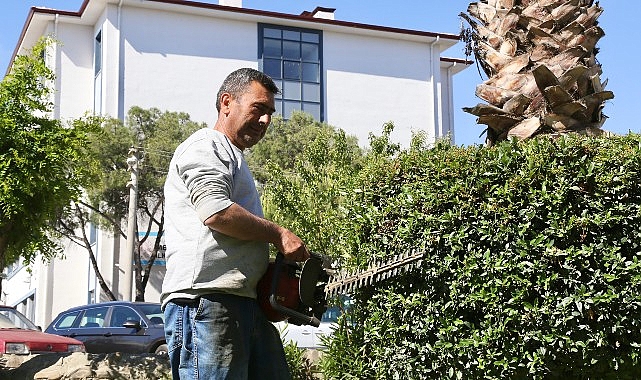 Burhaniye Belediyesi Çevre Düzenleme Çalışmaları