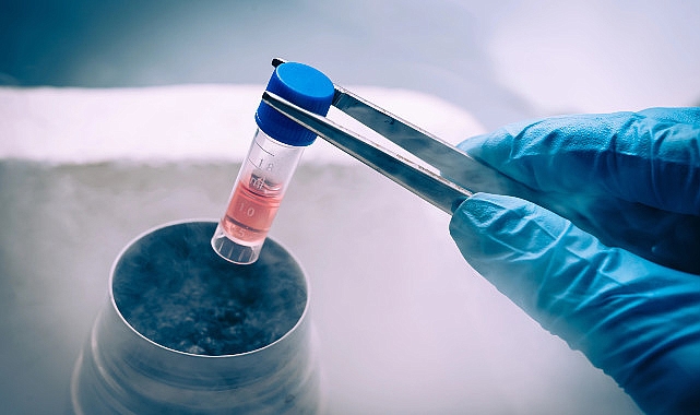 Geleneksel Tedavilerin Alternatifi: Kök Hücre Tedavisi ve Ortobiyolojik Uygulamalar