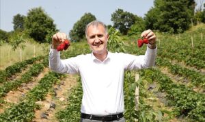 İnegöl Belediyesi Tarıma Güçlü Destek Veriyor