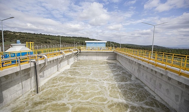 İzmir Büyükşehir Belediyesi Keçi Ölümleri İncelemesi
