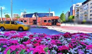 İzmir’de Baharın Simgesi: Çiçeklerle Donatılan Kent Estetiği