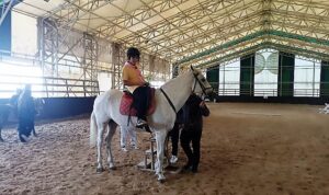 Kartepe Belediyesi Spor Kulübü İzcileri Doğayla Buluştu