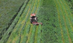 Konya Ovası İçin Macar Fiği Destek Programı