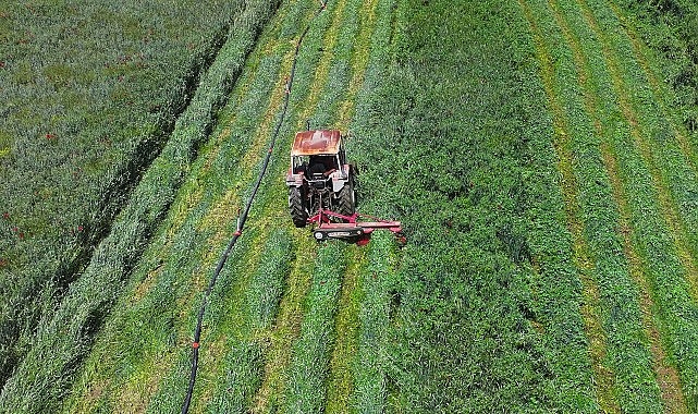 Konya Ovası İçin Macar Fiği Destek Programı