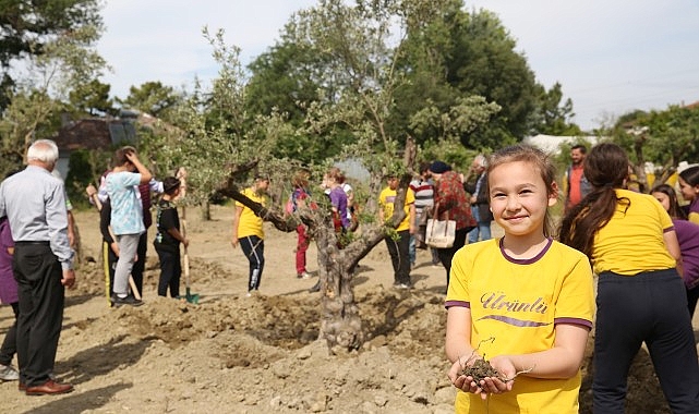 Nilüfer Belediyesi ve BUYAZ İş Birliğiyle Zeytin Ağaçlarına Destek