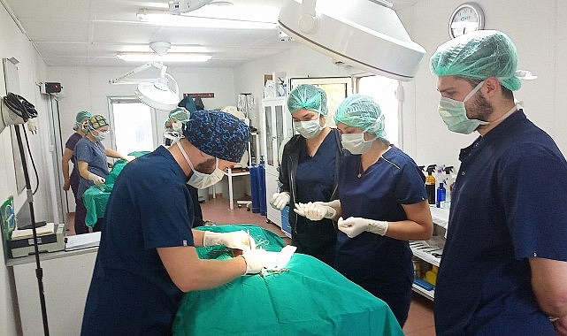 Osmangazi Belediyesi Sahipsiz Hayvanlar Doğal Yaşam ve Tedavi Merkezi’nde Eğitim Alan Veterinerlik Öğrencileri