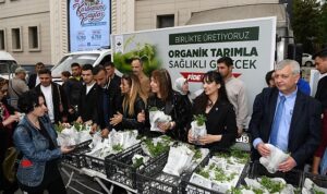 Osmangazi Belediyesi Ücretsiz Fide Dağıtımı