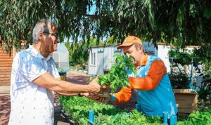 Seferihisar Belediyesi Tohum Merkezi: Yerli Tohumların Desteklenmesi