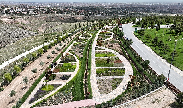 Selçuklu Koku Bahçesi: Çiçeklerin Ahengi Seyir Tepesi Manzarasıyla Buluşuyor