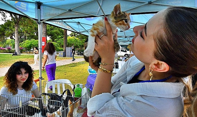 Sokak Hayvanları Sahiplendirme Şenliği