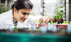 Uluslararası Bilim Ortaklıkları Fonu: Türkiye ve Birleşik Krallık Arasındaki Araştırma İş Birlikleri