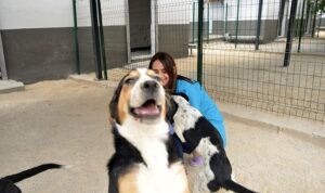 Yenişehir Belediyesi Sokak Hayvanlarına Destek Olmaya Devam Ediyor