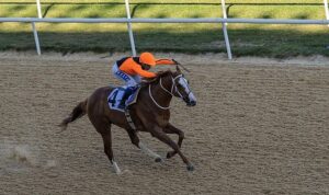 İzmir Büyükşehir Belediye Başkanlığı Koşusu’nu Wardenclyffe kazandı