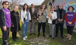 Bir patili dost edinmeye ne dersiniz?