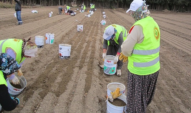 Kadınların Gücüyle Yeşeren Ormanlar