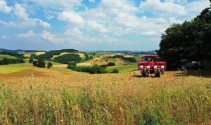 ​​​​​​​Kocaeli toprağı Büyükşehir’le bereketleniyor 