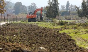 Pamucak Rekreasyon Alanı’nda Çalışmalar Hızla Devam Ediyor