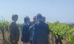 Büyükşehir’den Don Zararına Uğrayan Üreticilere Destek