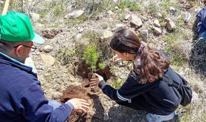 Selçuklu’da Yeşil Doku Güçlenmeye Devam Ediyor