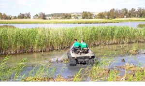 Aliağa Belediyesi’nden Haşerelere Karşı Yoğun Mücadele