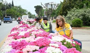 Başkan Çerçioğlu Efeler’i Bahar Çiçekleri ile Süsledi