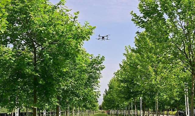 Büyükşehir, haşereyle mücadeleye aralıksız devam ediyor