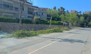 Güzelbahçe Belediyesi’nden Yaz Temizliği