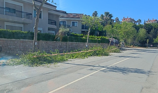 Güzelbahçe Belediyesi’nden Yaz Temizliği