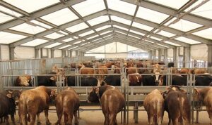 İBB’den Kurban Bayramı İçin 4 Modern Tesis