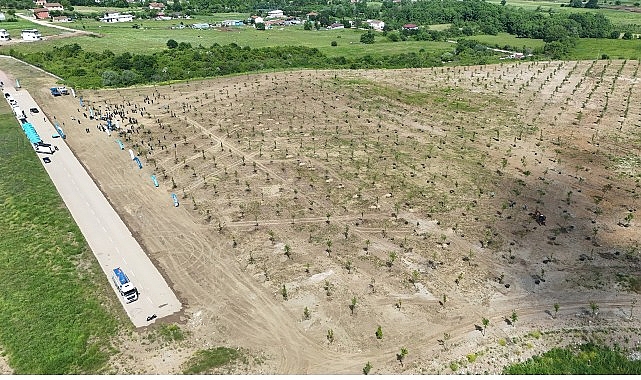 Kocaeli’nde binlerce fidan toprakla buluştu