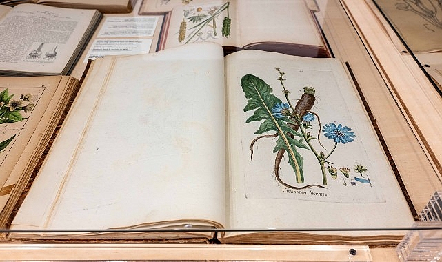 Salt Beyoğlu’nda Kamu Programı: “Anadolu’nun Bitki Mirası” Sergisine söyleşi, gösterim ve atölye çalışmaları eşlik ediyor