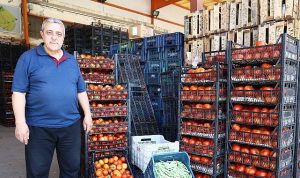 Alanya Toptancı Hali’nde sona yaklaşıldı