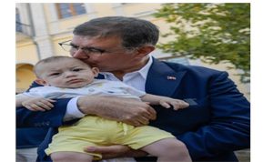 Devrilen çınar ağacı yerine yenisi dikildi