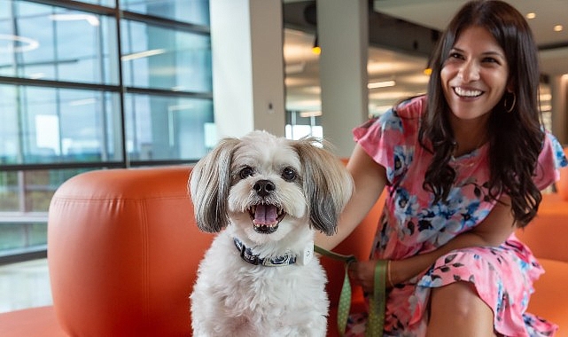 Evcil Hayvanlar İçin Açılan Kapılar,  İş Dünyasında Bambaşka Bir Dönüşümü Beraberinde Getiriyor
