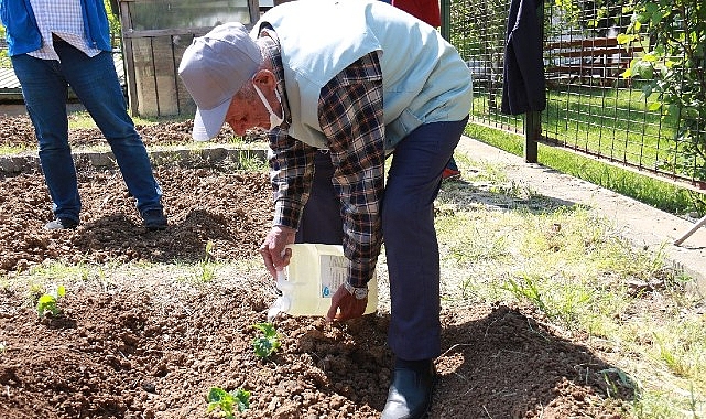İstanbullu Halk Bostanlarını Çok Sevdi