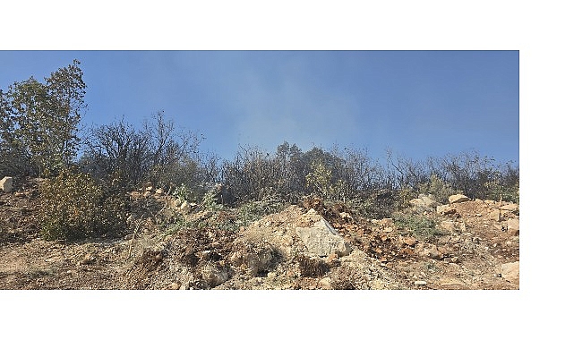 Nilüfer’de yangın başarıyla söndürüldü